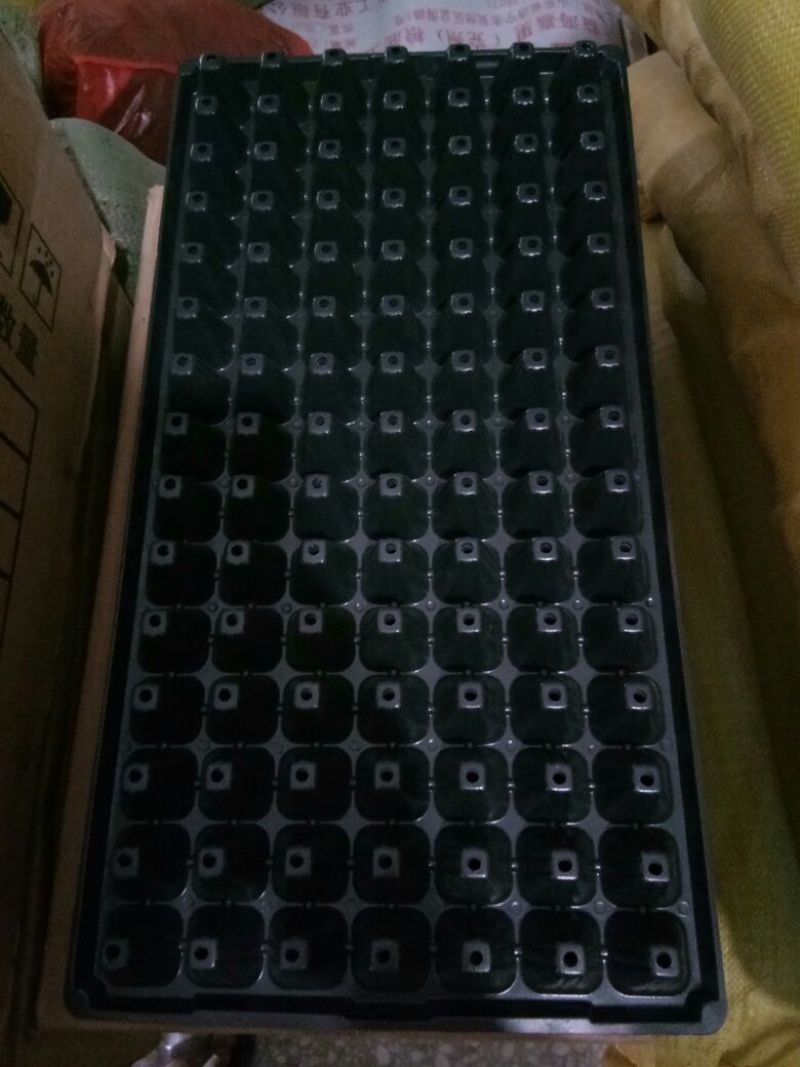 穴盘育苗盘穴盘营养钵塑料蔬菜瓜果苗加厚穴盘