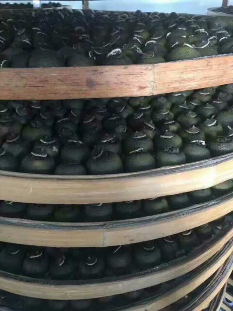 网红普洱小青柑特价了