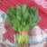 小叶菠菜25~30厘米