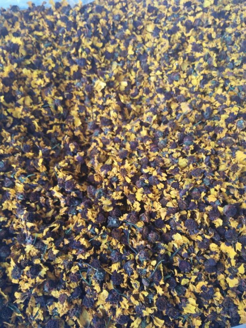 菊花茶一级