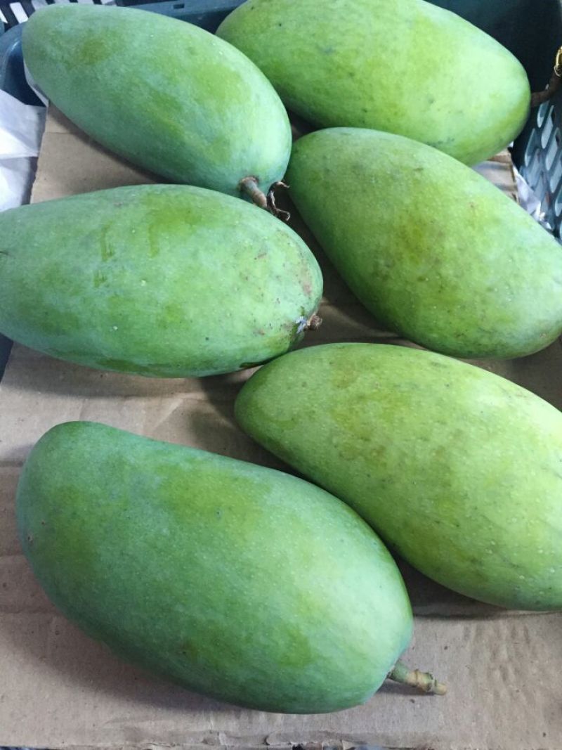 越南进口大青芒10两以上非玉芒
