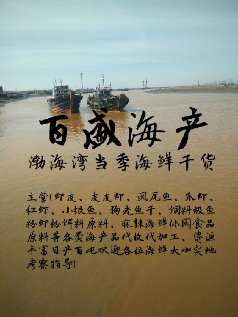 虾皮一级