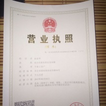 4公分的大叶女贞基地