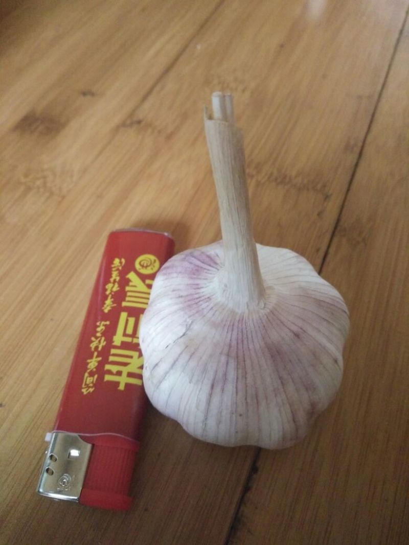 山东紫皮大蒜混级统货