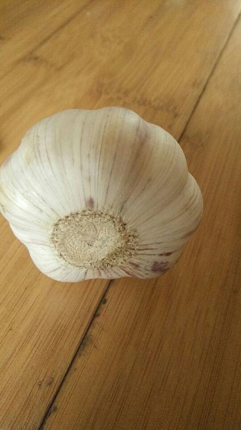 山东紫皮大蒜混级统货