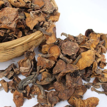 松蘑特级