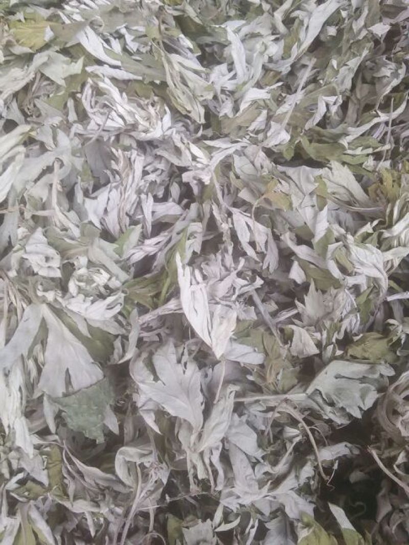 三年以上陈艾存放三年以上时间现货80吨元现货