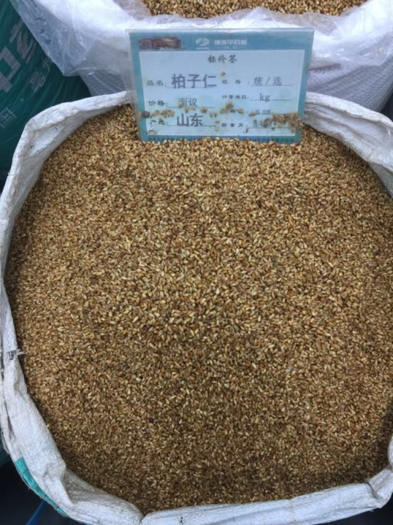 柏子仁无硫磺熏蒸一公斤起批