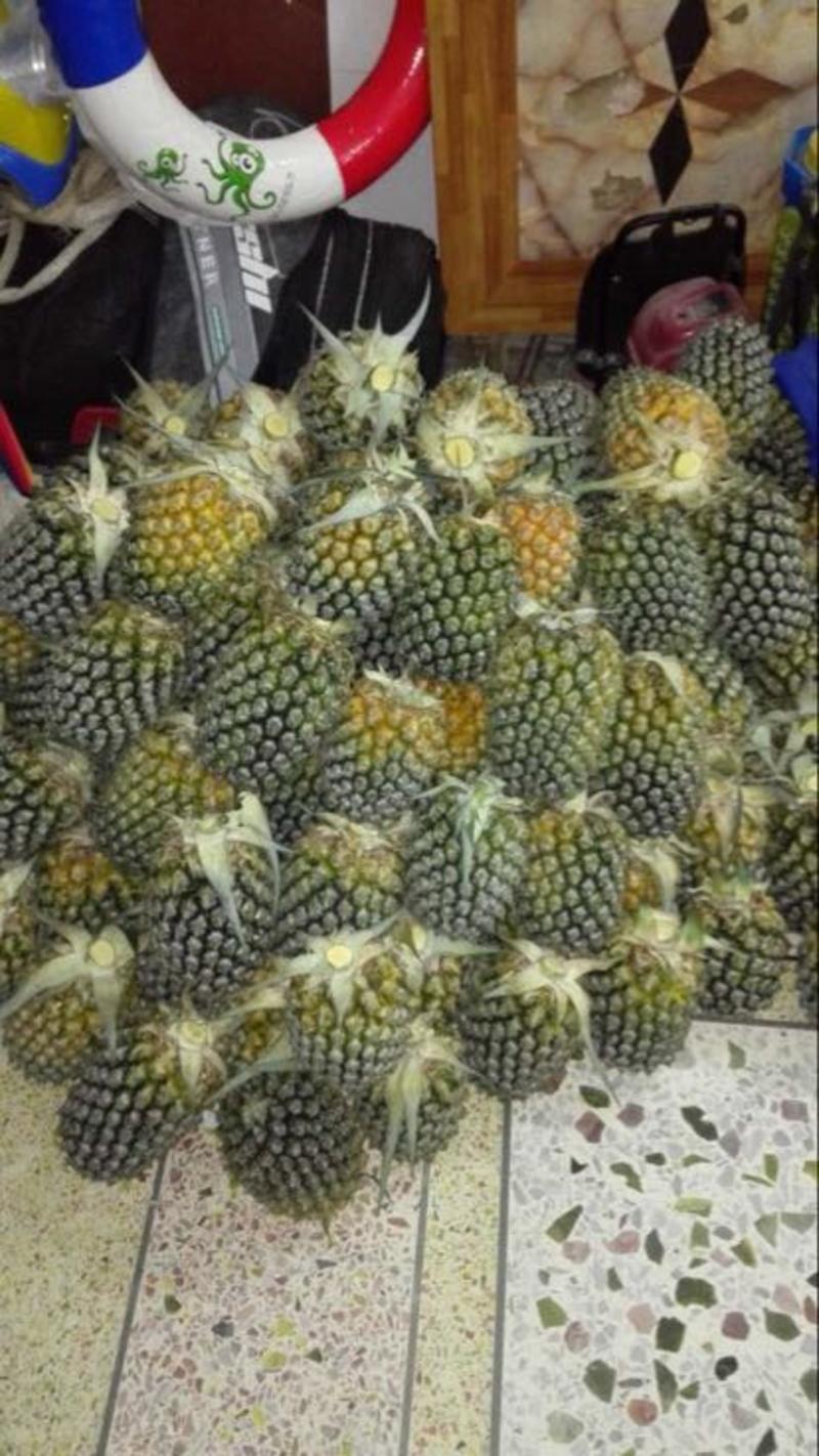 菲律宾（巴厘）菠萝