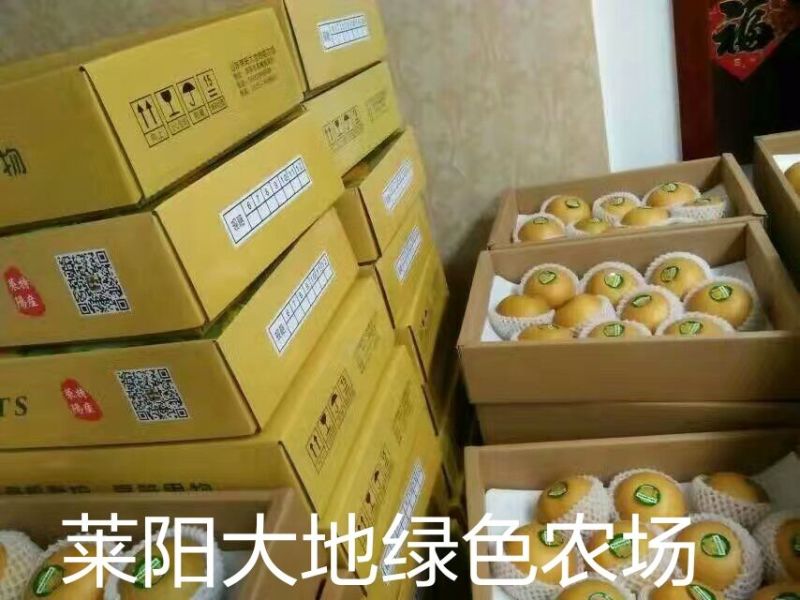 秋月梨400~450g纸箱