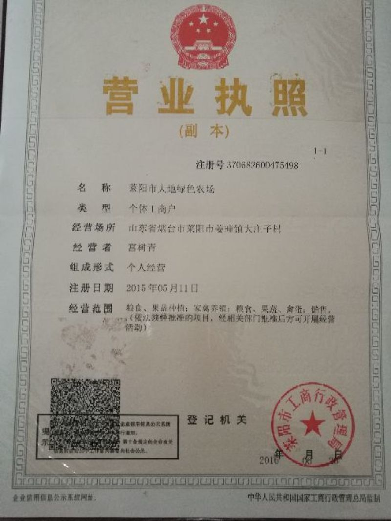 秋月梨400~450g纸箱