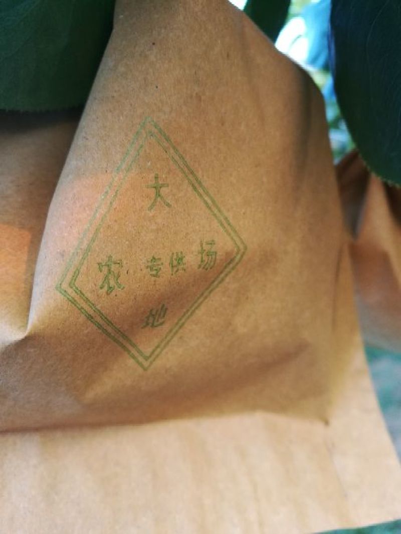 秋月梨400~450g纸箱
