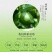 青柠檬2~2.6两