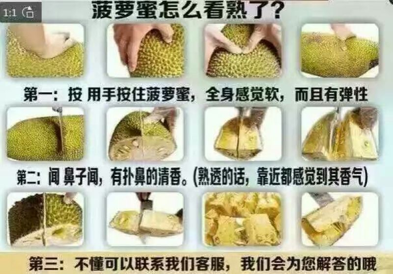 菠萝蜜10~15公斤