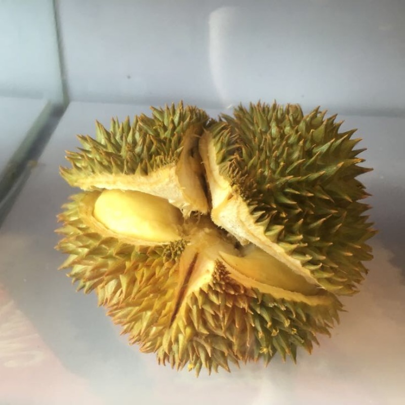 泰国榴莲