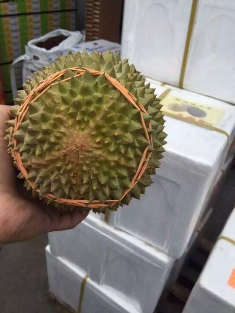 泰国榴莲