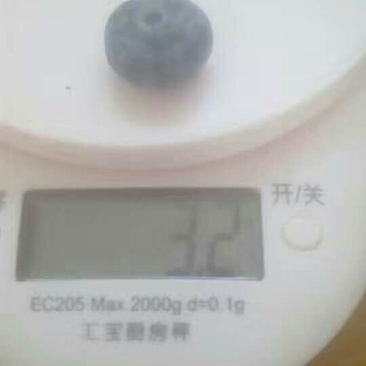 蓝莓鲜果12~14mm以上