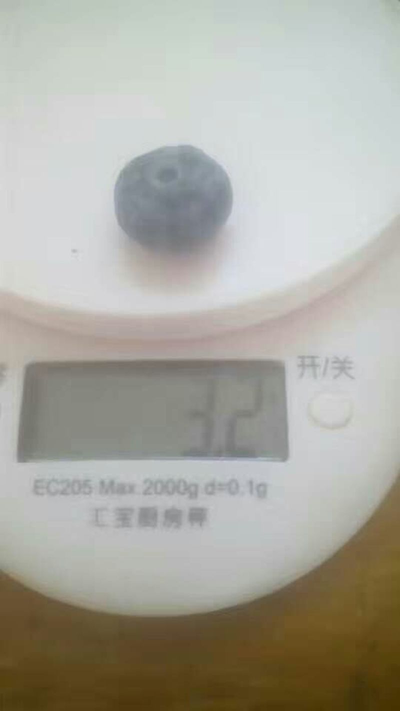 蓝莓鲜果12~14mm以上
