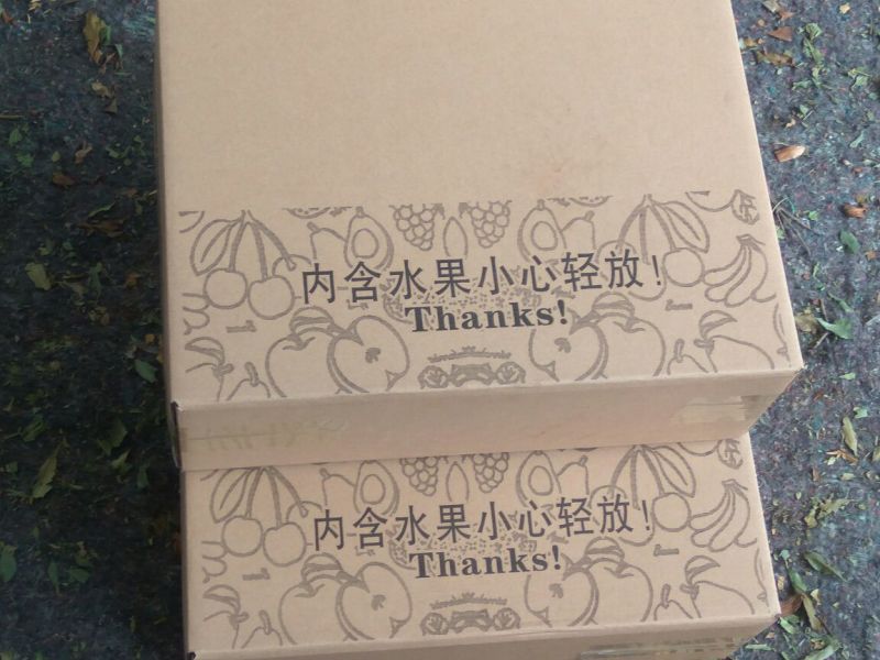 临潼石榴6两~8两