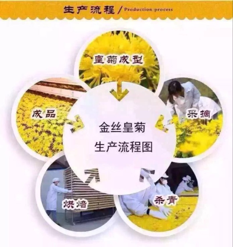 菊花茶