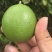 青柠檬
