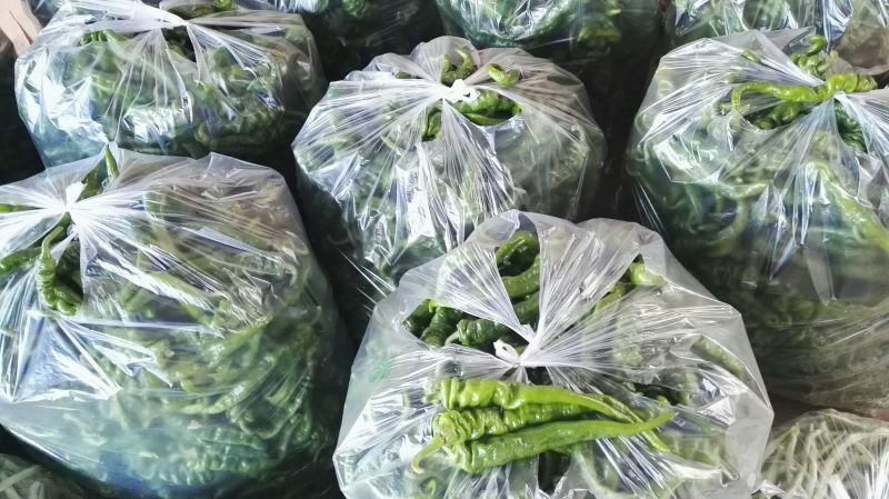 螺丝椒支持视频看货可打冷欢迎老板进店选购