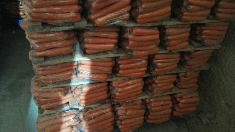 胡萝卜可视频看货可打冷货源充足可代发全国