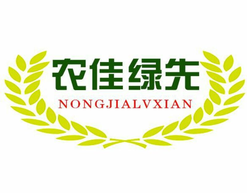 西州蜜瓜3斤以上椭圆形