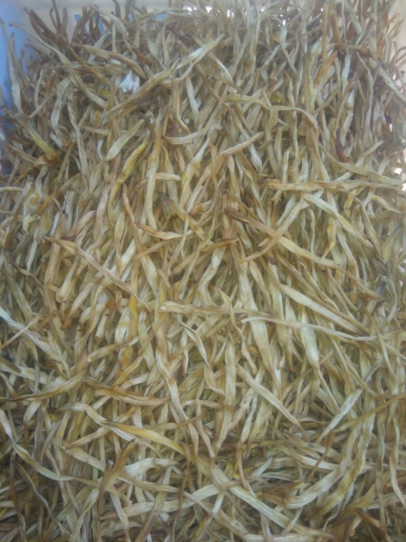 干黄菜