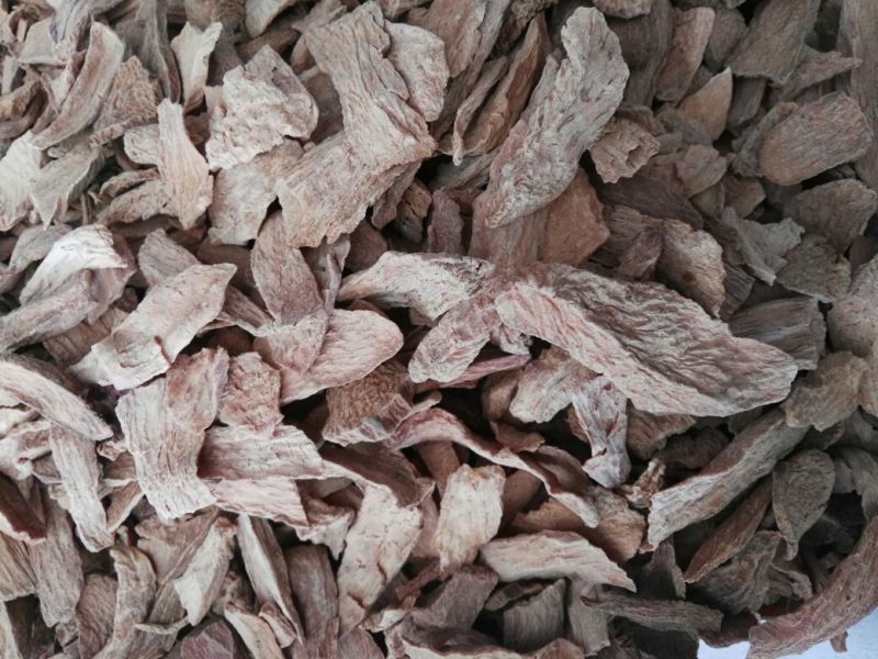 锁阳去皮切片阿拉善金锁阳产地直发一斤包邮