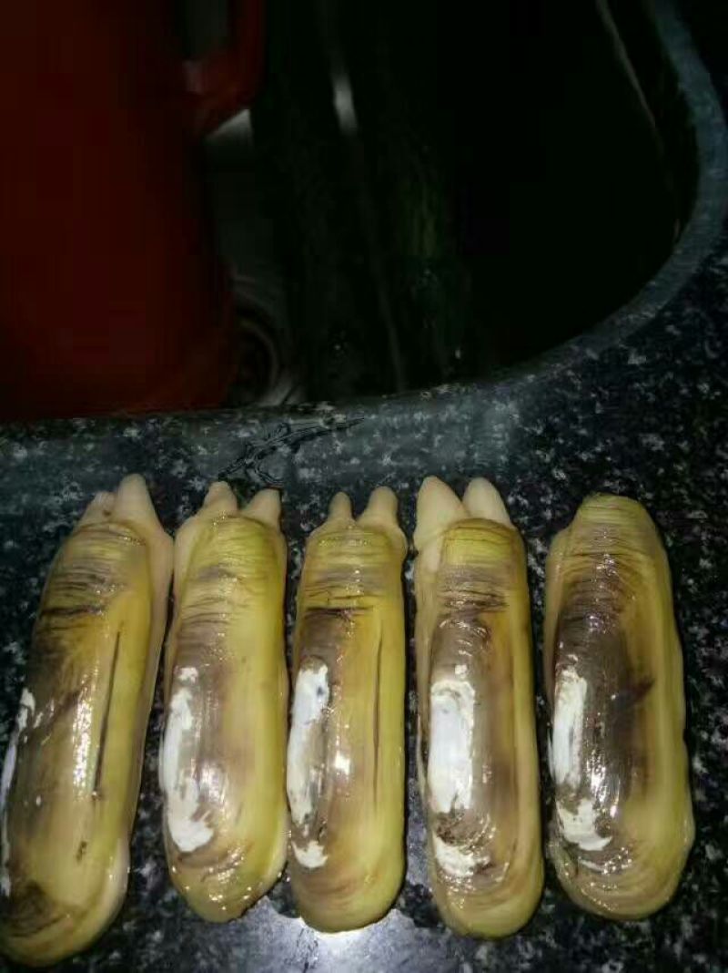 蛏子食用