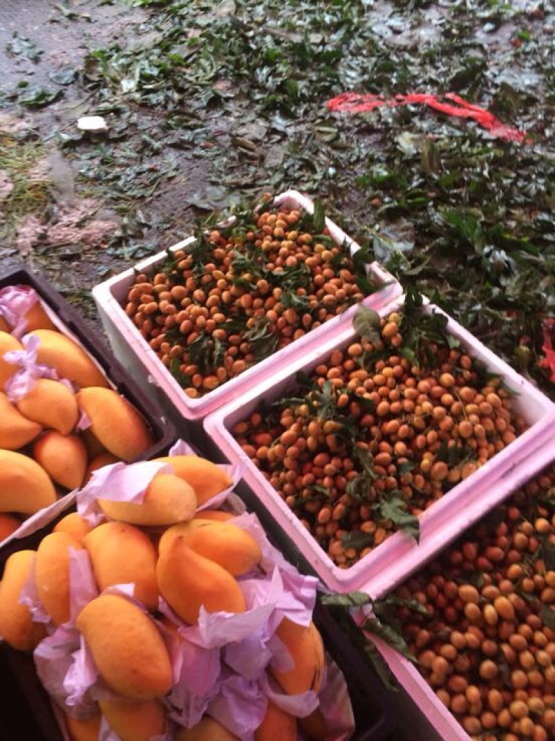 黄皮果