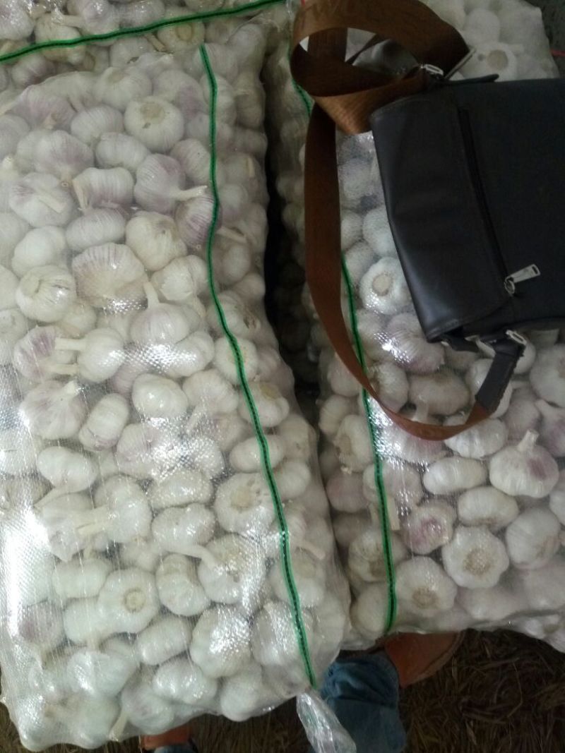 邳州大蒜6cm干蒜