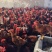 麻鸡