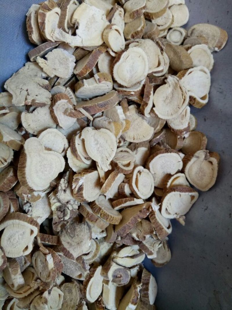 苦参选货河北干货产地直销量大从优