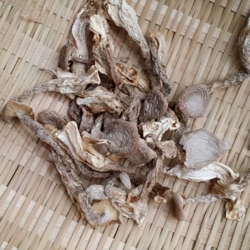 鹿茸菇干货鹿茸菌食用菌类煲汤干锅都不错