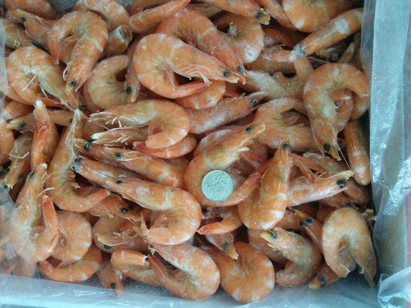 虾干青虾仁（去肠）