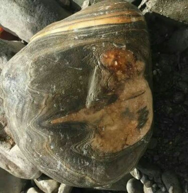 毛石