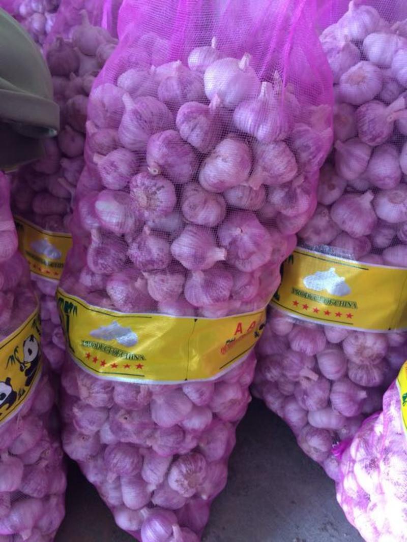 金乡优质大蒜紫皮大蒜大量供应市场超市电商平台产地直供