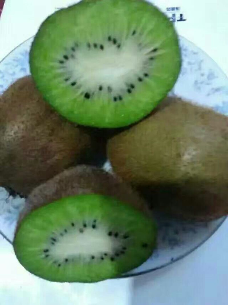 徐香猕猴桃招电商