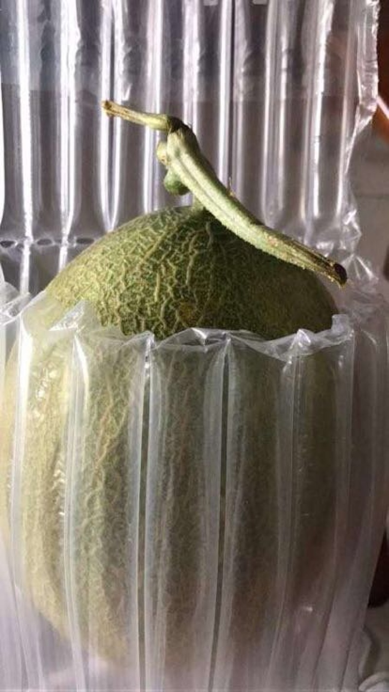 哈密瓜