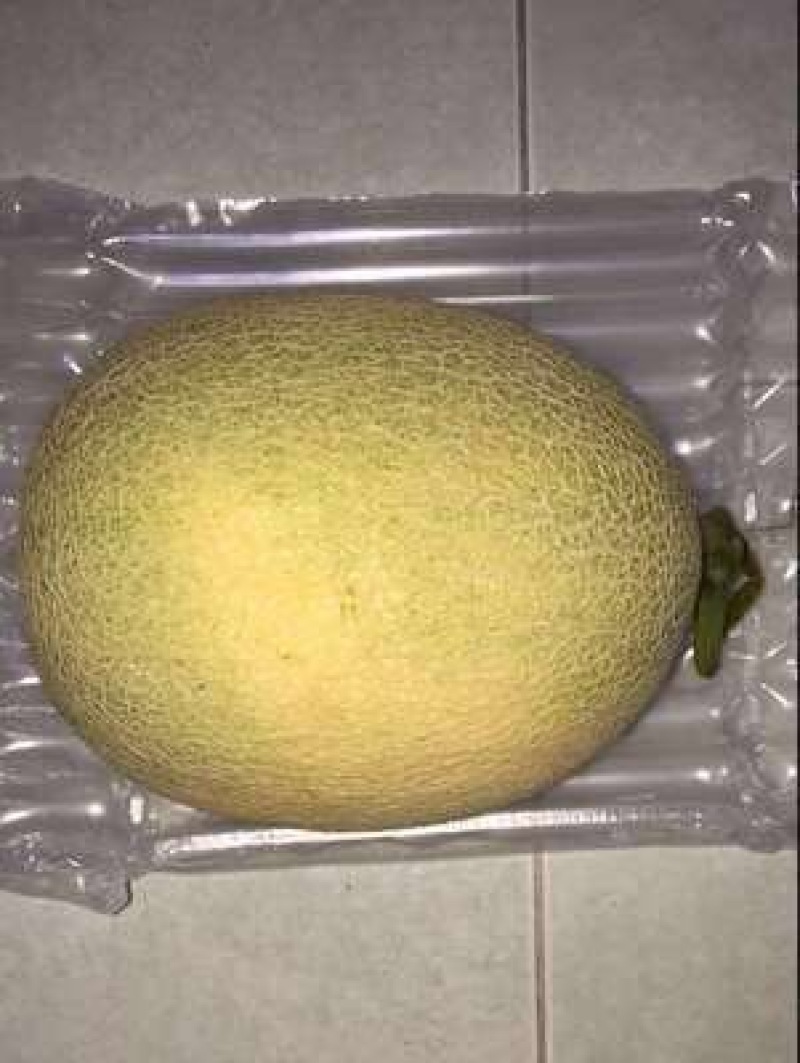 哈密瓜
