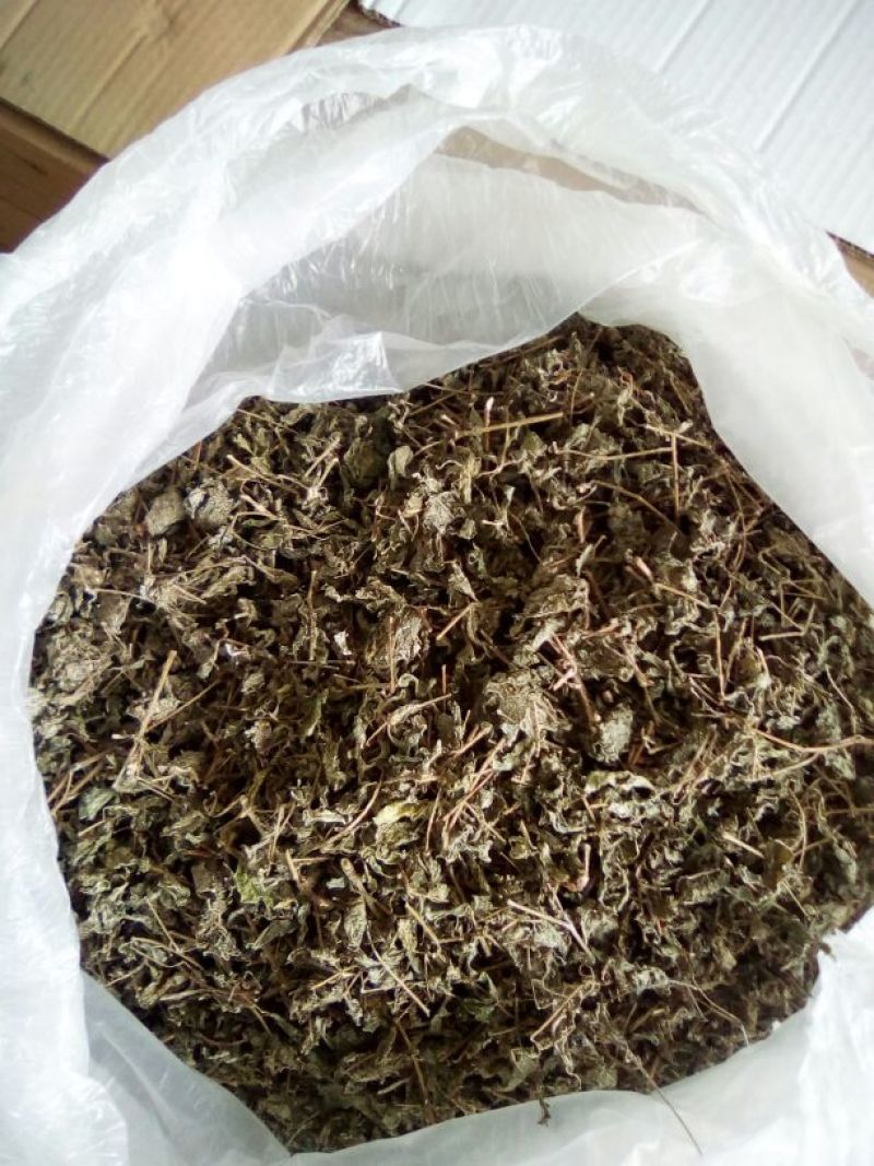野生藤茶