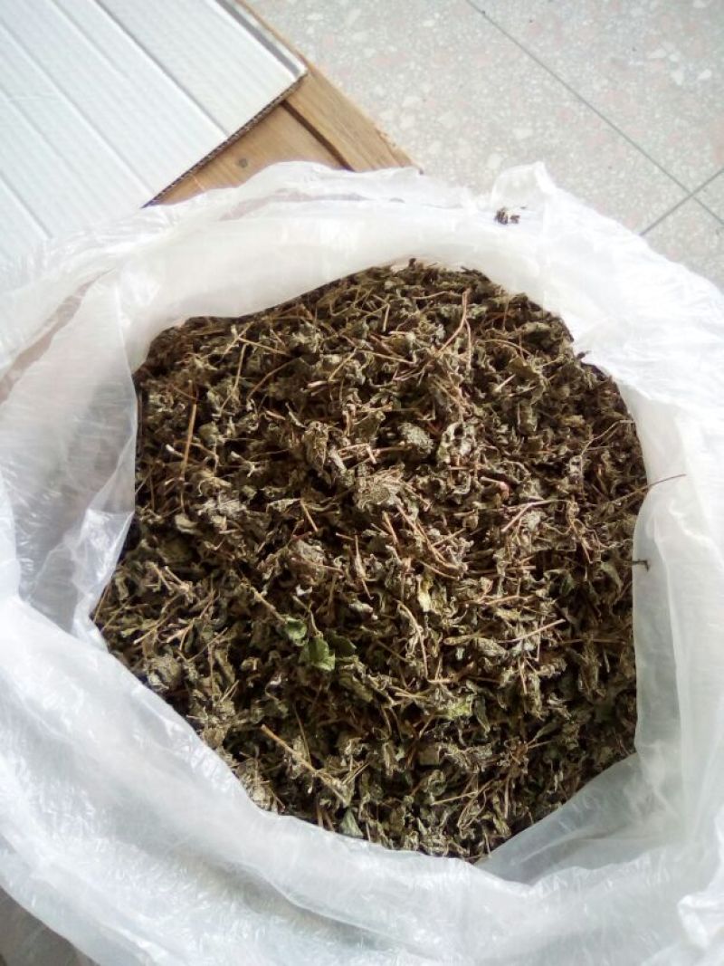 野生藤茶
