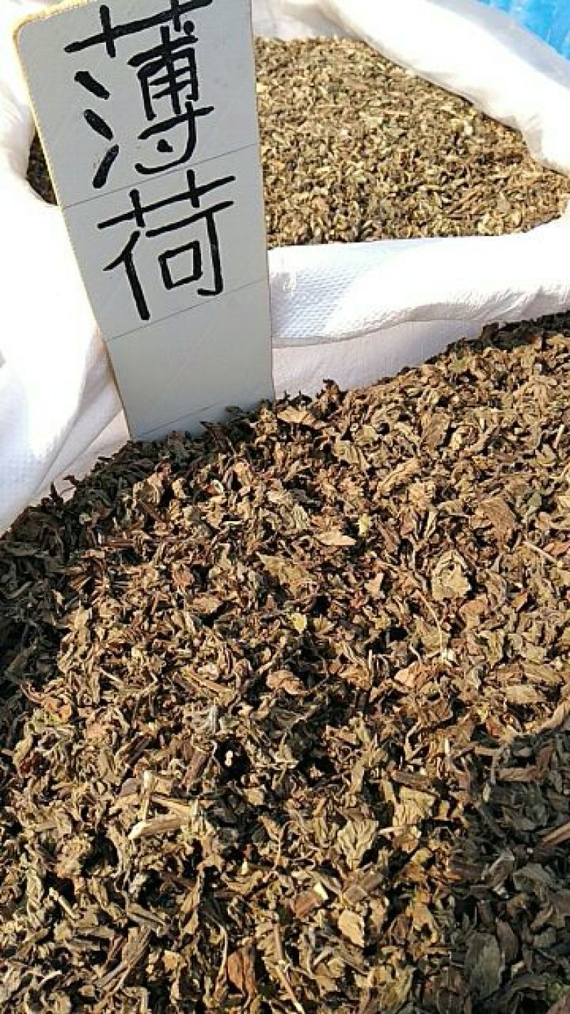 薄荷，家种整颗，叶子多，，，，，，，