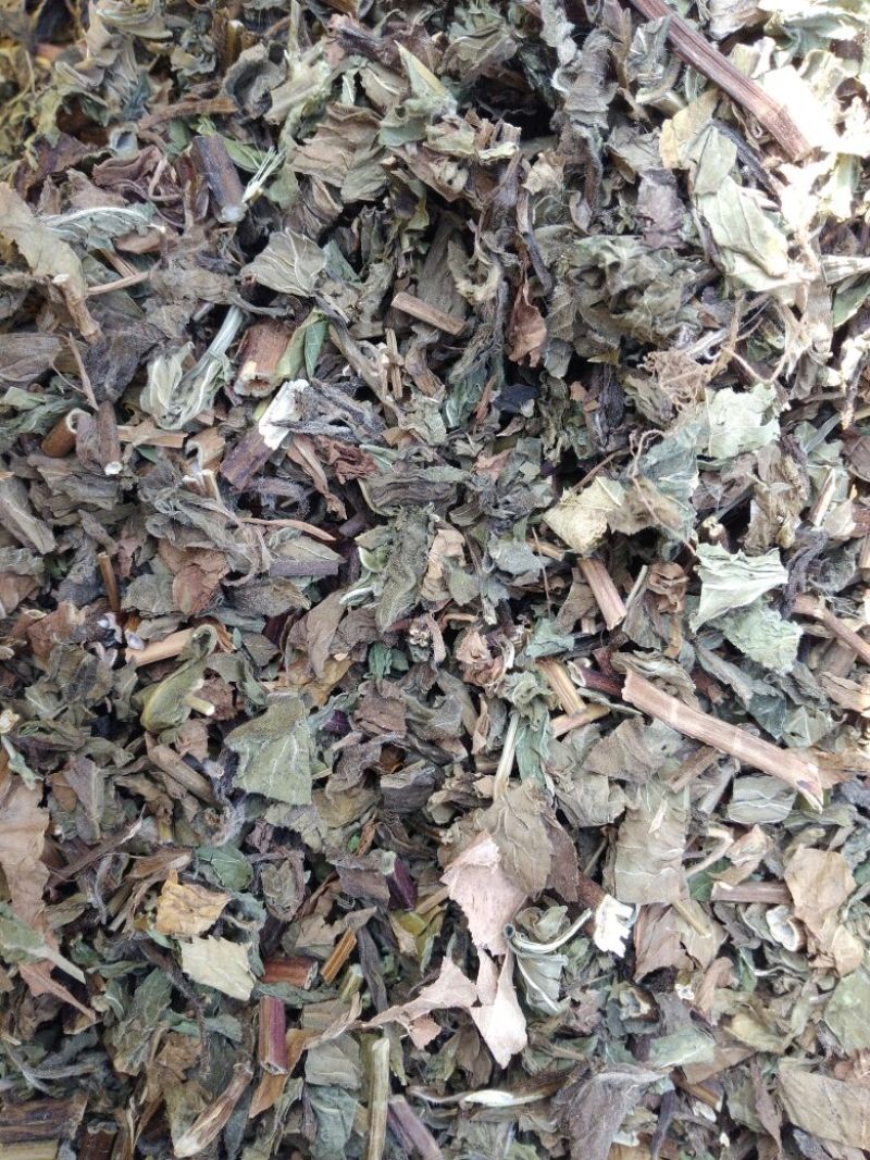 薄荷，家种整颗，叶子多，，，，，，，