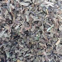薄荷，家种整颗，叶子多，，，，，，，