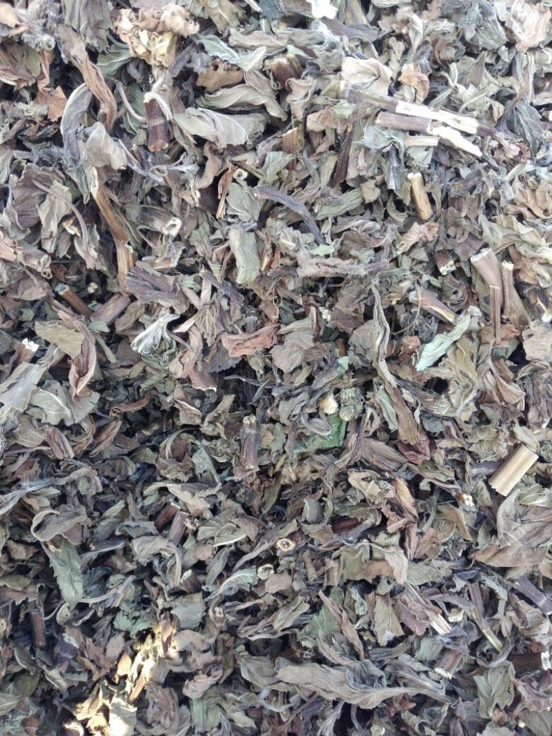 薄荷，家种整颗，叶子多，，，，，，，