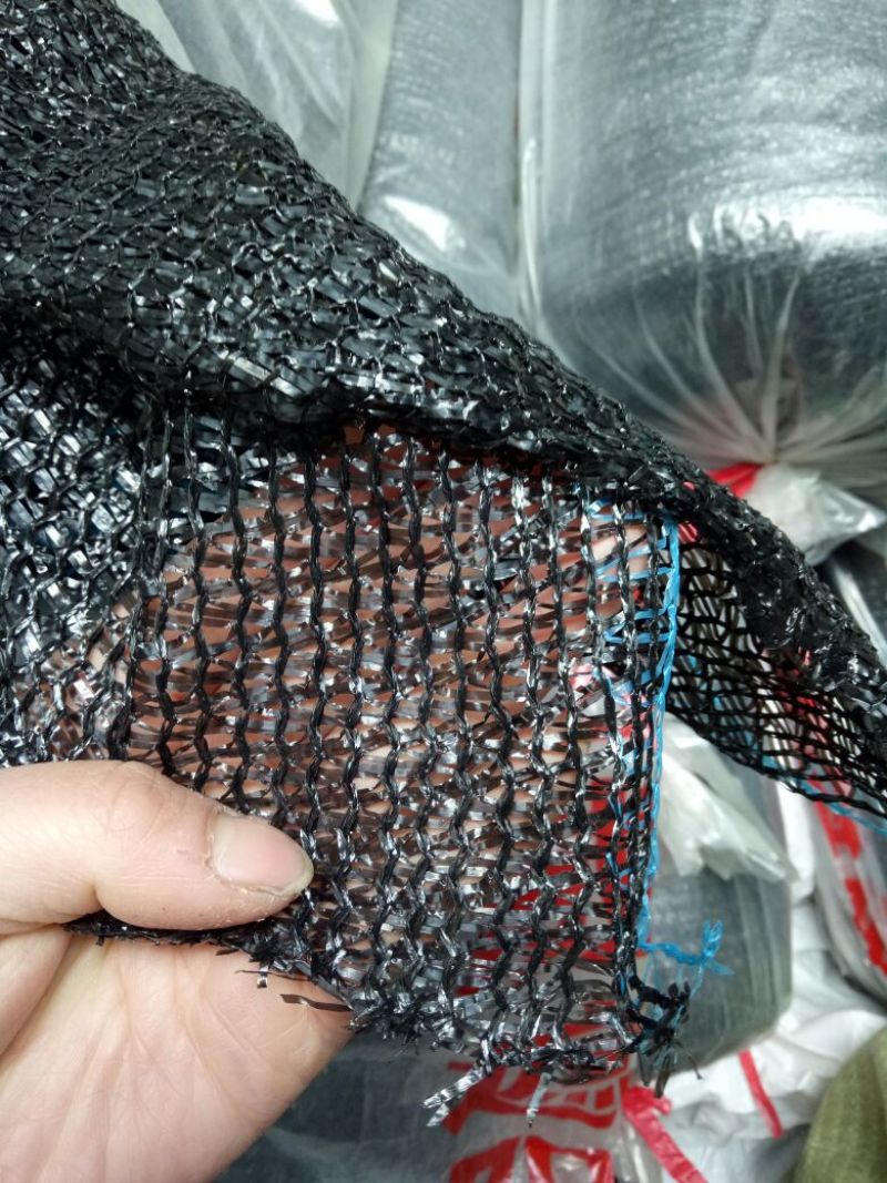 遮阳网扁丝网