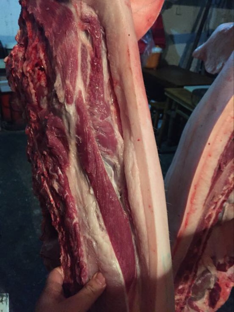 猪肉